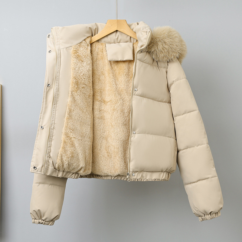 Winter Short Parkas Women's Co - Wool Coat Peacoat ulasan dan harga