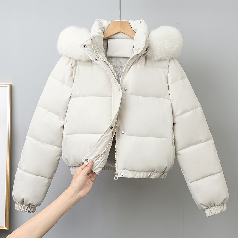 Winter Short Parkas Women's Co - Wool Coat Peacoat ulasan dan harga